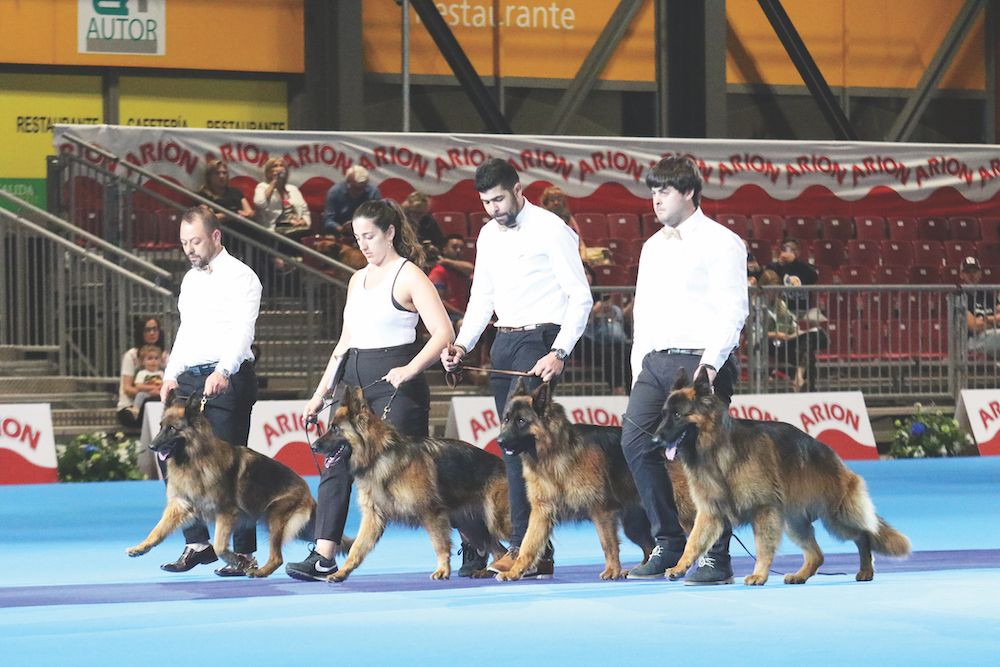 2022 World Dog Show Madrid